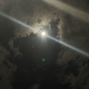 Meet your Posher, Trent